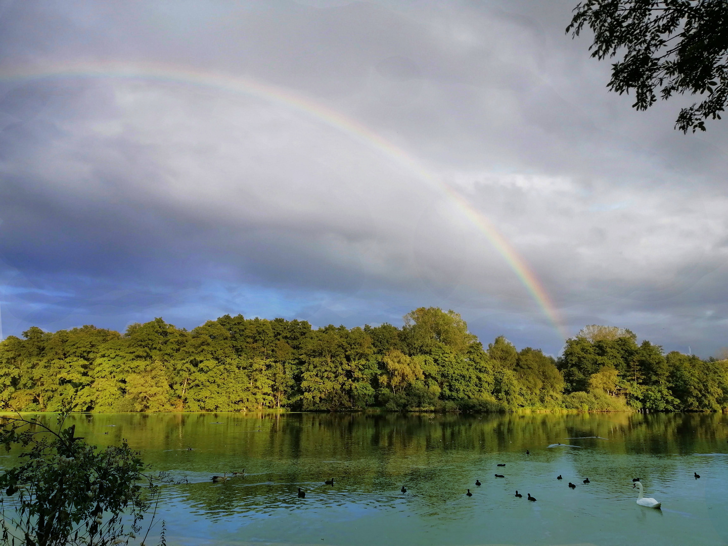 Regenbogen am De Wittsee
