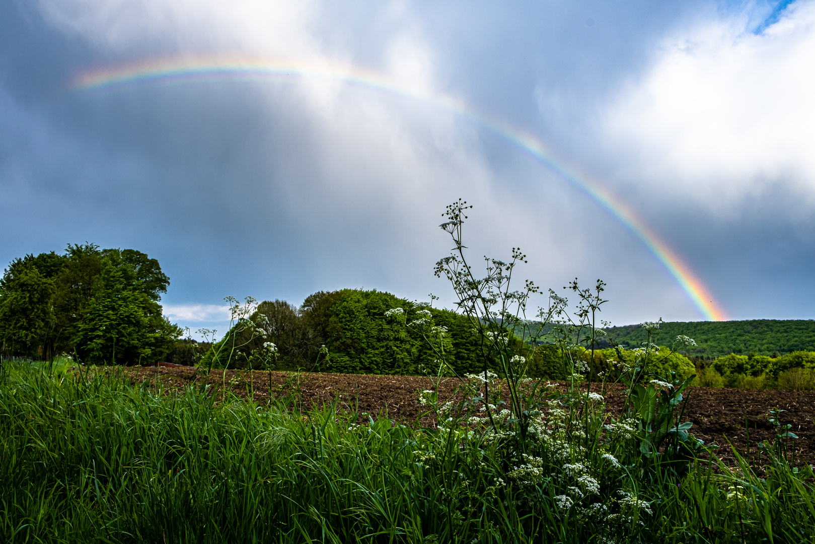 Regenbogen am Dörenberg