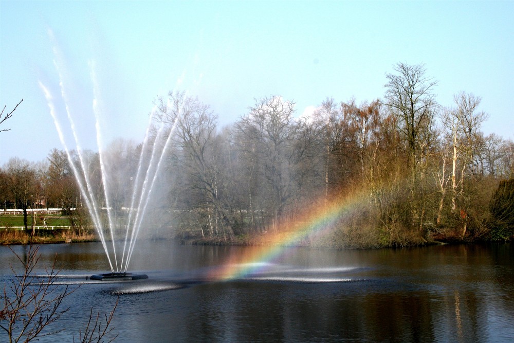 Regenbogen am Ellernteich