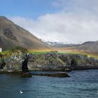 Regenbogen am Hafen von Arnarstapi