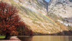 Regenbogen am Königssee