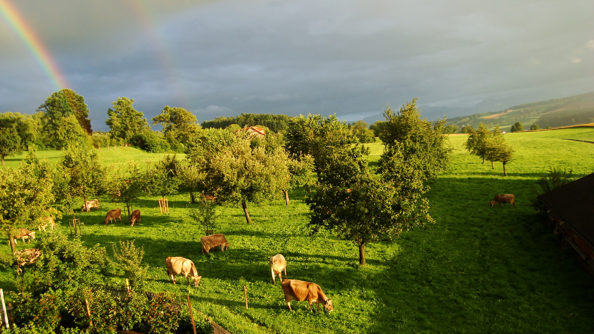 Regenbogen am Küchenfenster