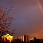 Regenbogen am Morgen