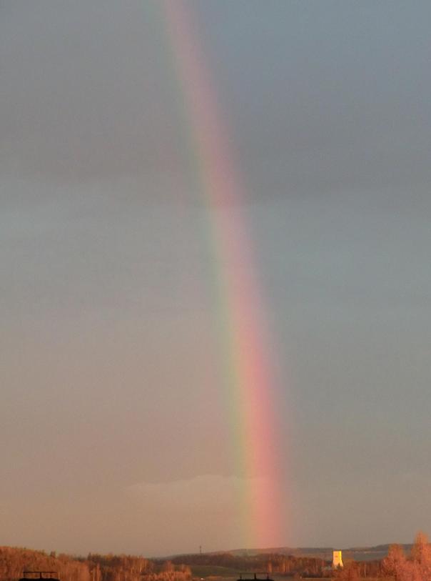 Regenbogen am Morgen....