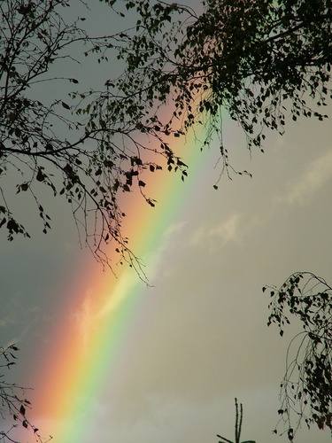 Regenbogen am Morgen