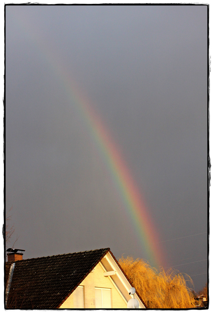 REGENBOGEN am Morgen