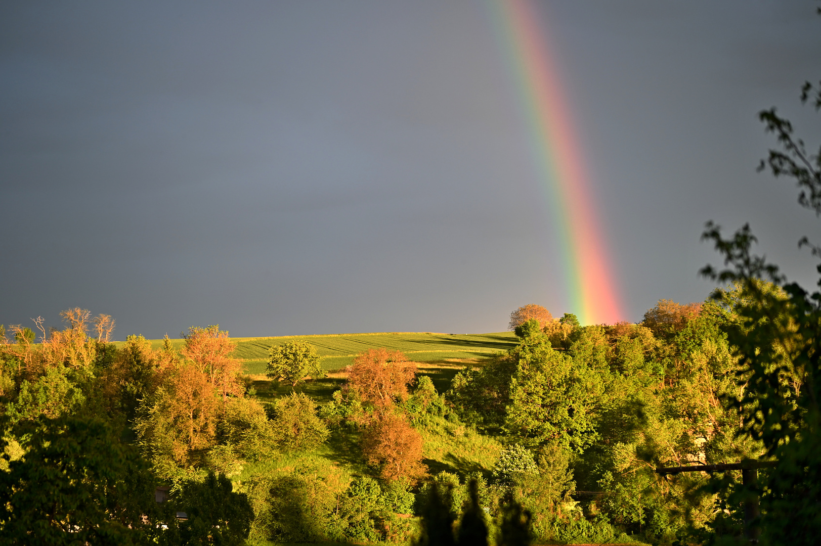 Regenbogen am Pfingstmontag Abend