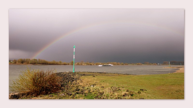 " Regenbogen am Rhein bei Perrich/Wesel "