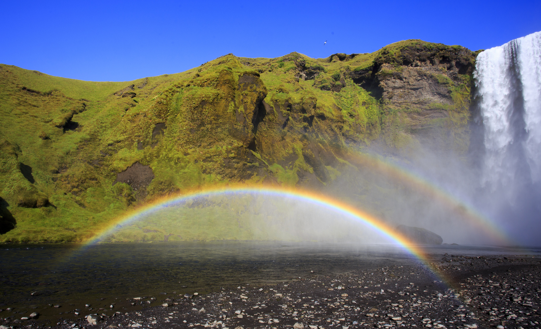 Regenbogen am Skogarfoss