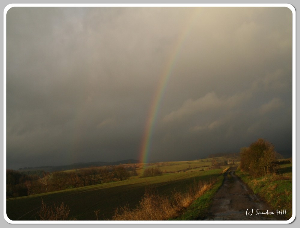 *Regenbogen am Sonntag*