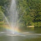 Regenbogen am Teich 2