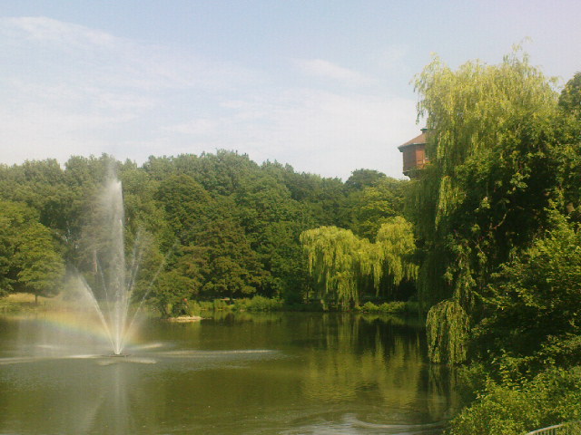 Regenbogen am Teich 3