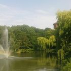 Regenbogen am Teich 3