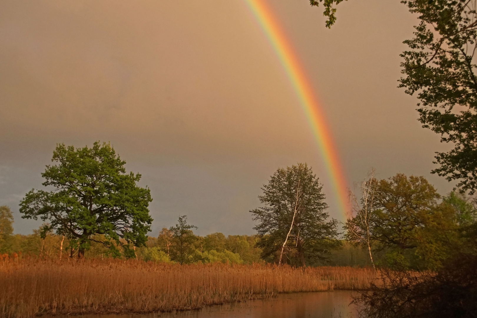 Regenbogen an den Guttauer Teichen