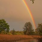 Regenbogen an den Guttauer Teichen