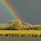 Regenbogen an der Elbe