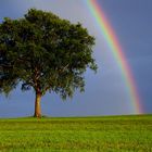 Regenbogen an einem Sommerabend