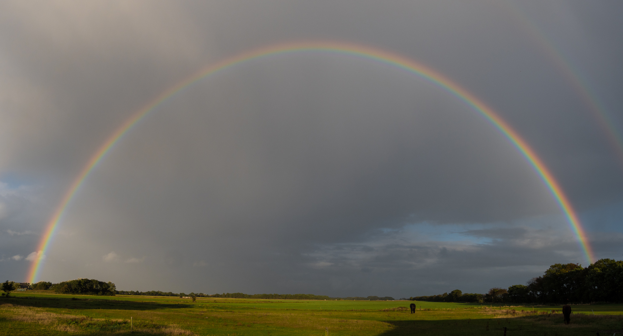 Regenbogen auf Ameland