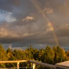 Regenbogen auf der Albertshöhe