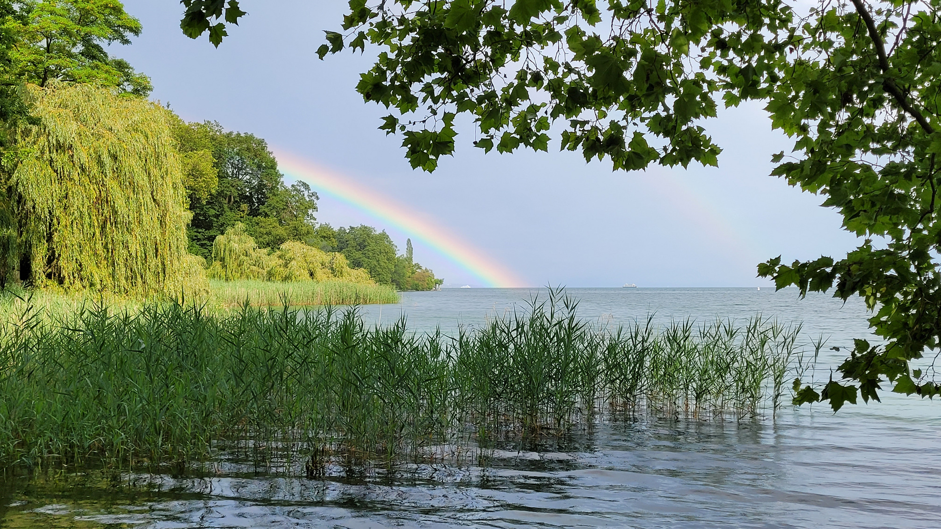 Regenbogen auf der Insel Mainau