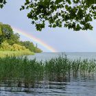 Regenbogen auf der Insel Mainau