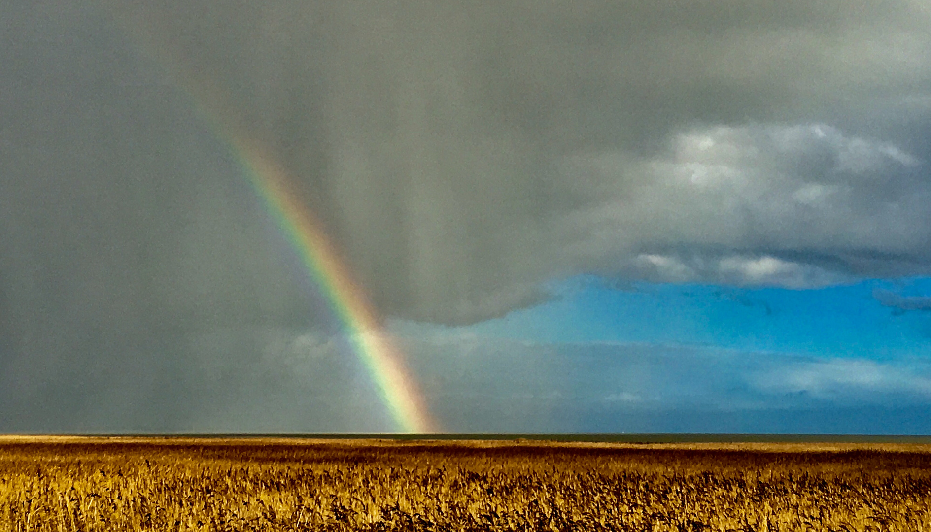 Regenbogen auf Sylt