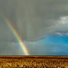 Regenbogen auf Sylt