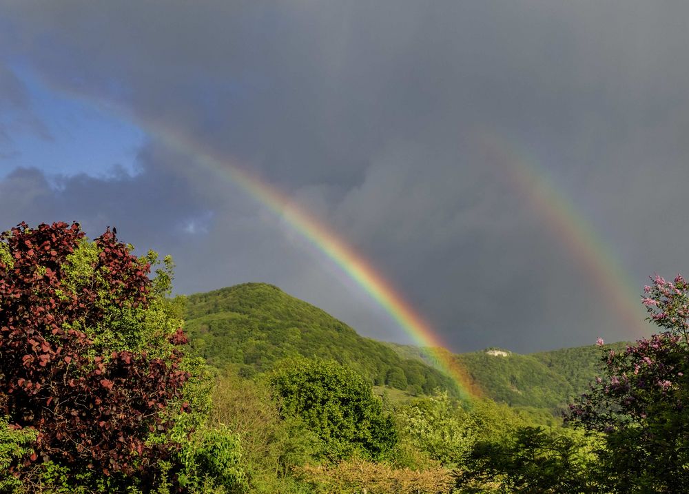 Regenbogen