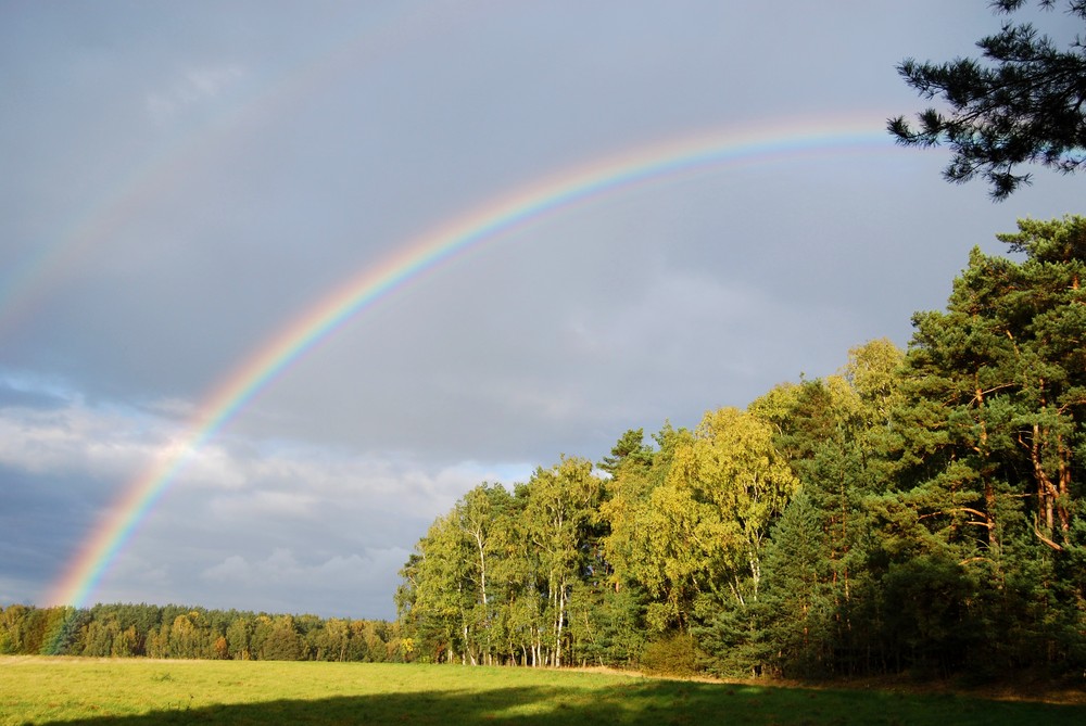 Regenbogen