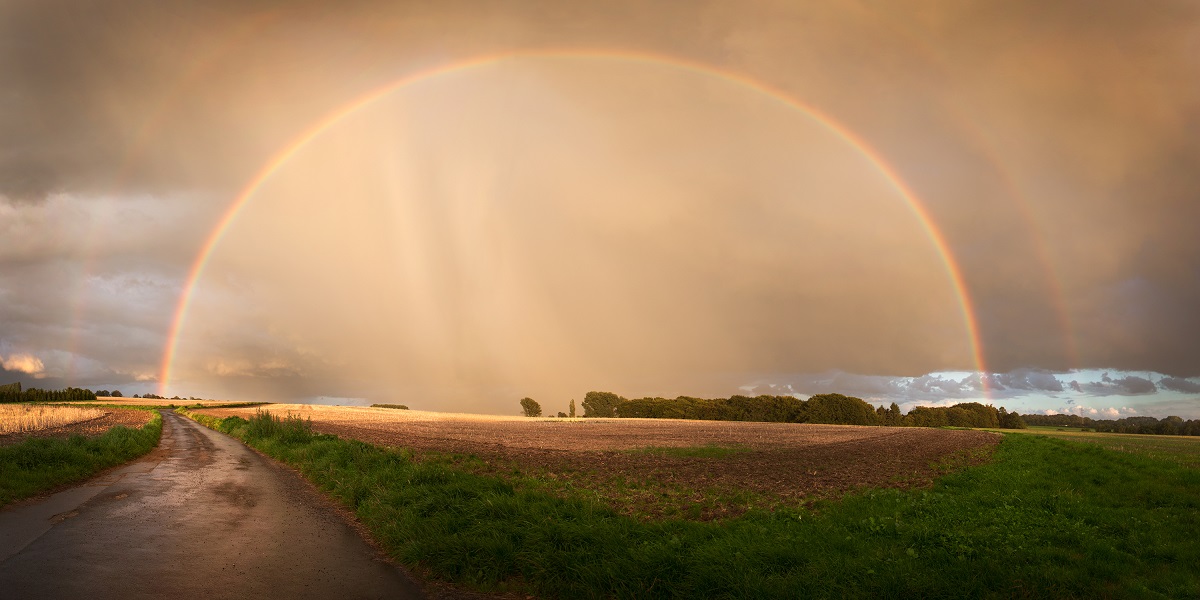 Regenbogen