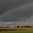 Regenbogen