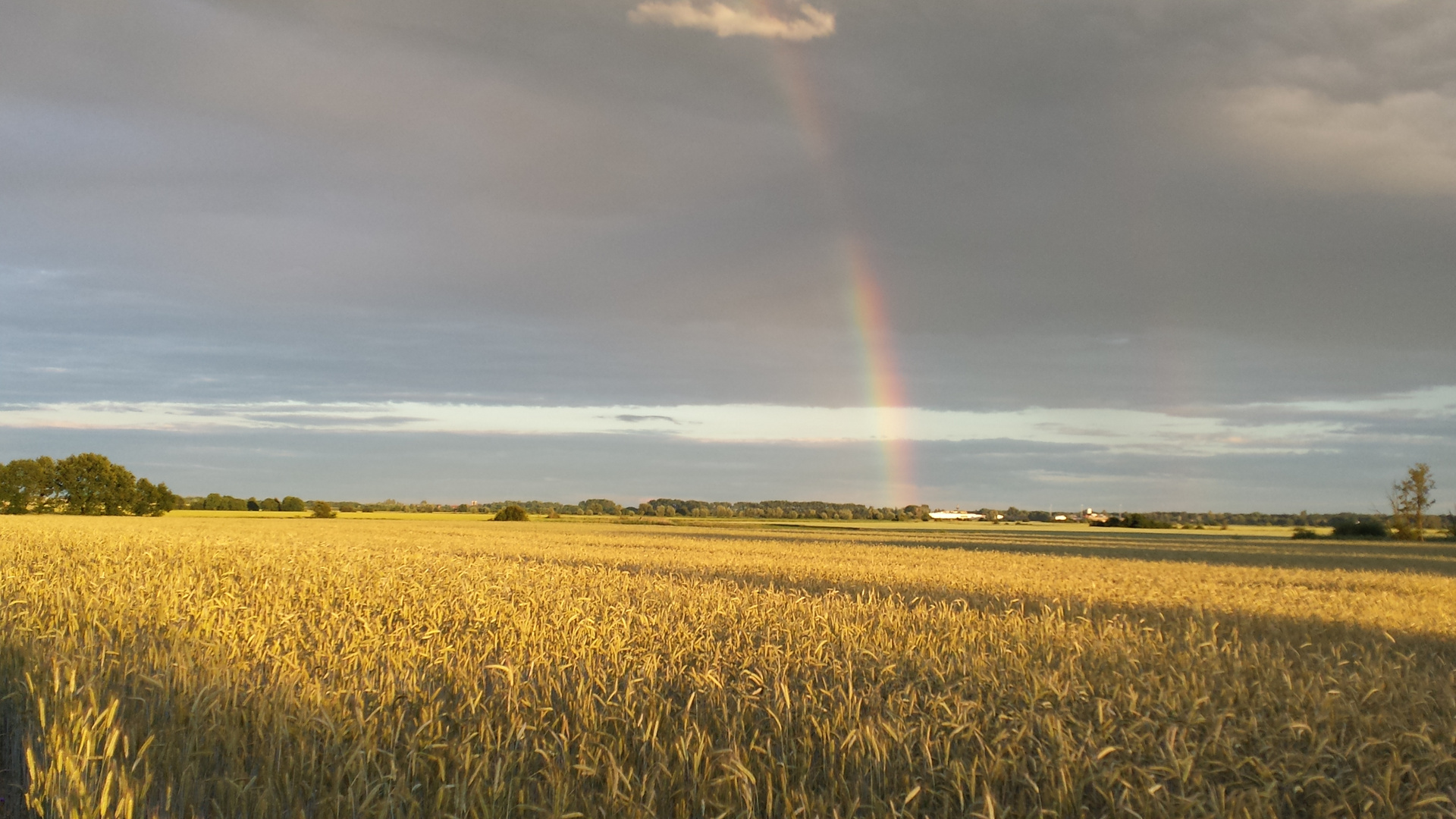 Regenbogen