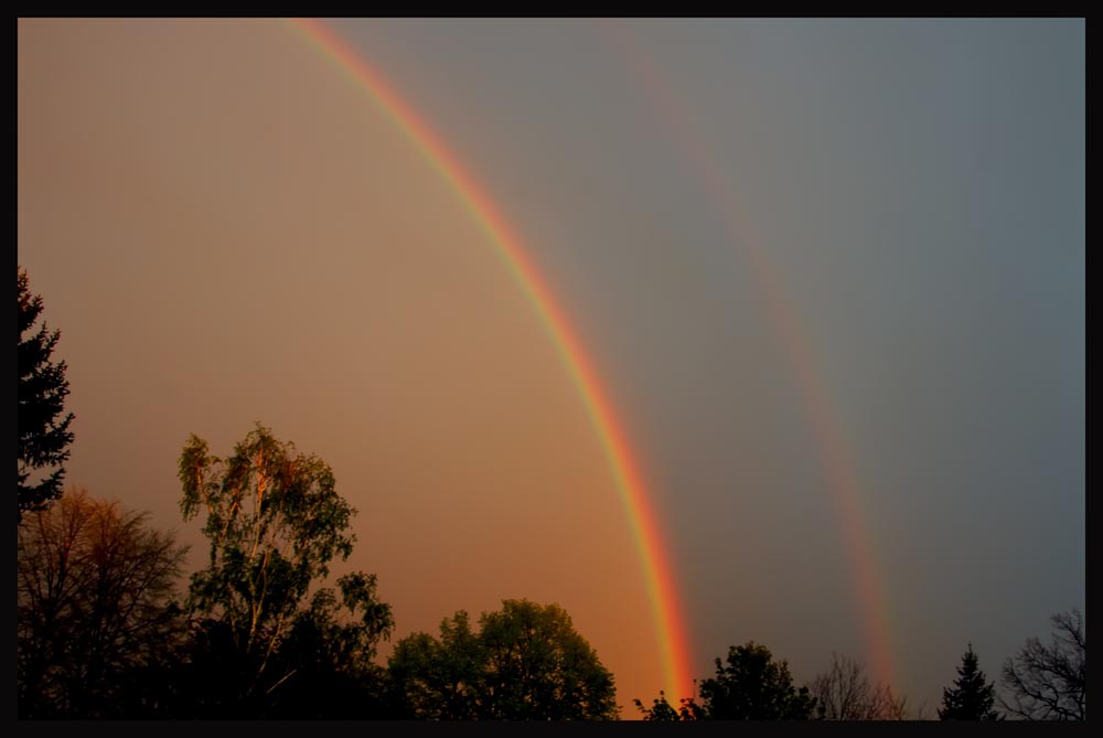 Regenbogen