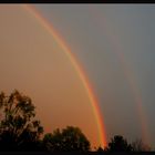 Regenbogen