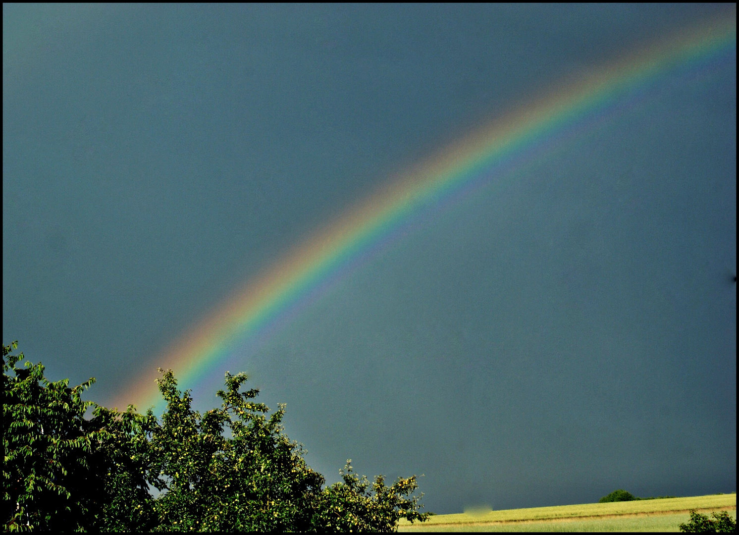 Regenbogen