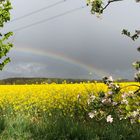 Regenbogen 