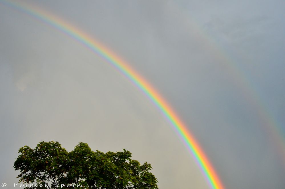 Regenbogen