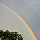 Regenbogen