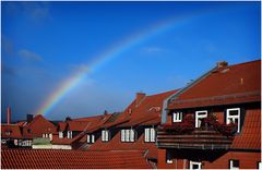 Regenbogen