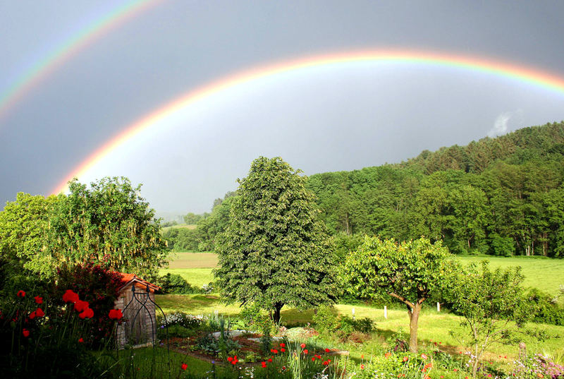 Regenbogen