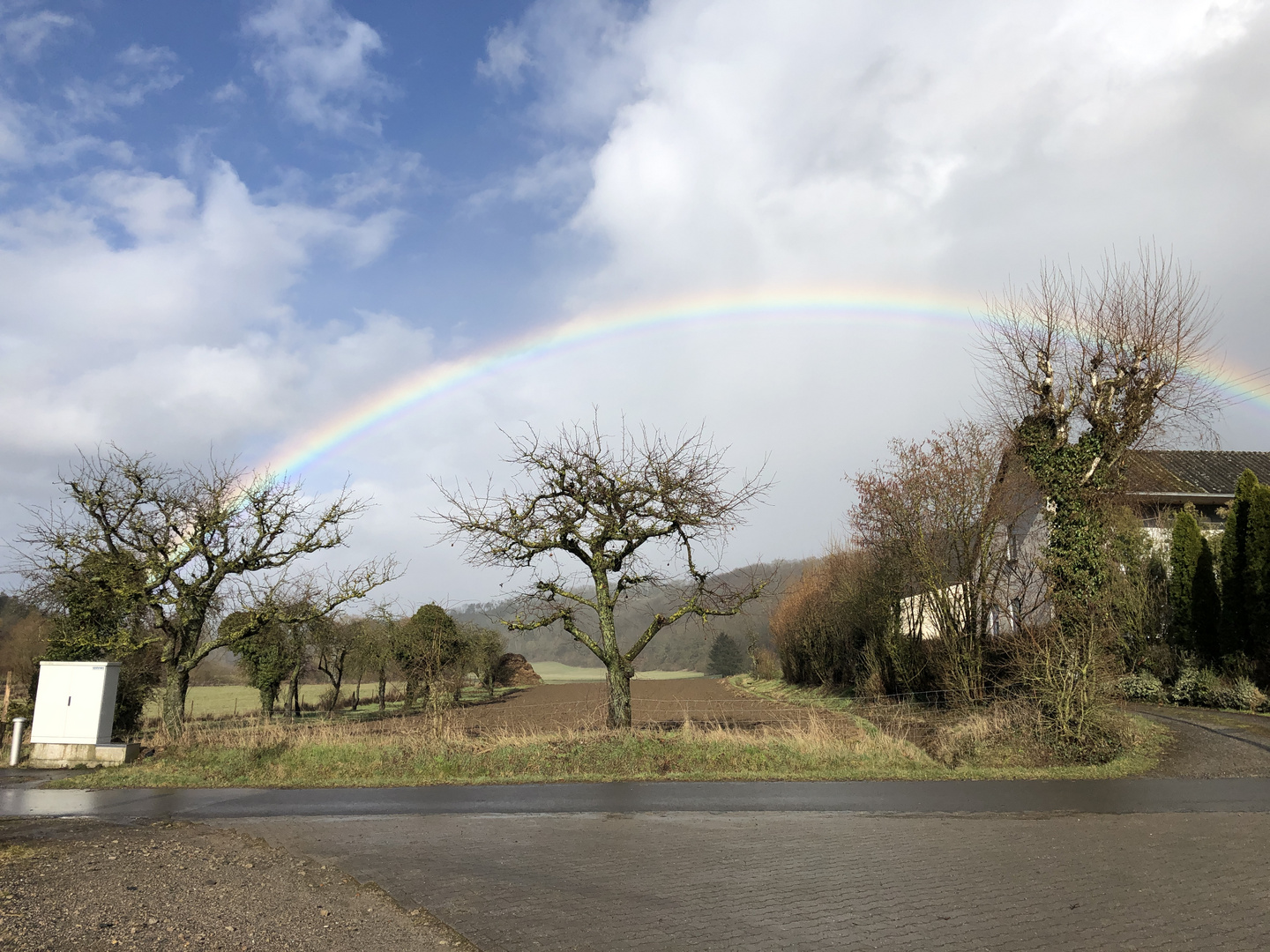 Regenbogen