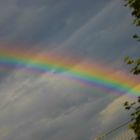 Regenbogen