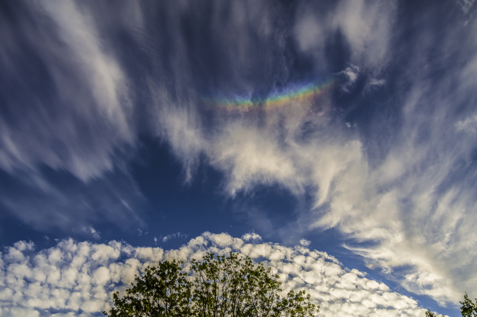 Regenbogen