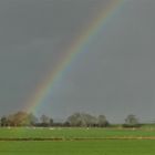 Regenbogen