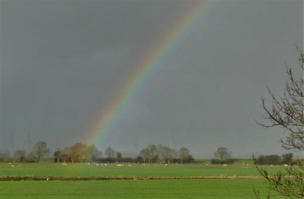 Regenbogen