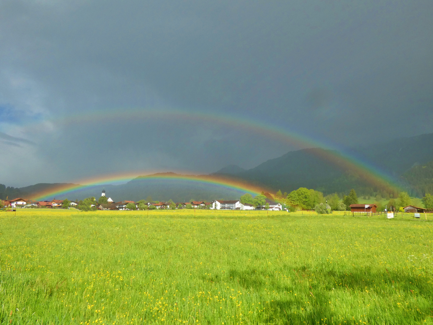 Regenbogen