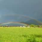 Regenbogen