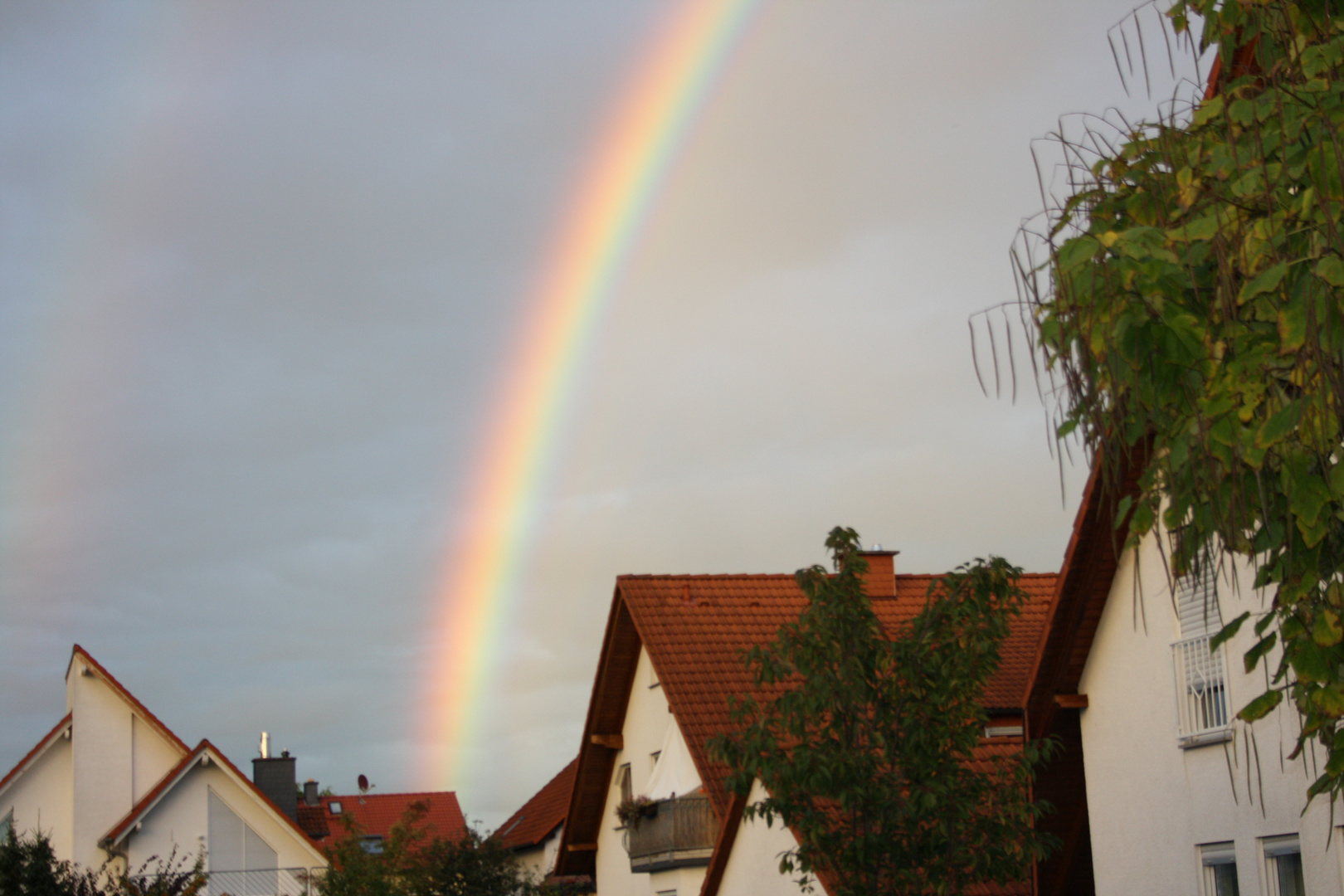 Regenbogen