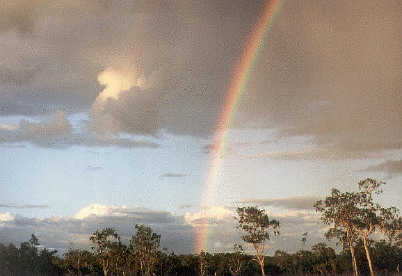 Regenbogen