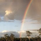 Regenbogen